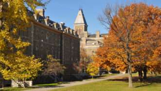 Cornell univeristy campus | Cornell Vows Free Expression-Themed Academic Year