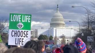 March for Life protestors | Christian Britschgi